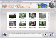 Photo Recovery Software screenshot